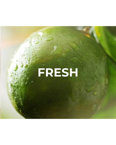 Collection image for: Fresh