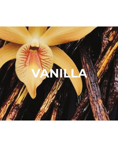 Collection image for: Vanilla