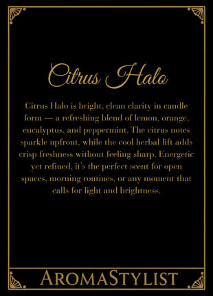 Citrus Halo Ornamenta Wax Air Freshener