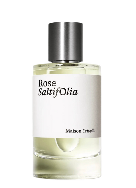 Rose SaltifOlia