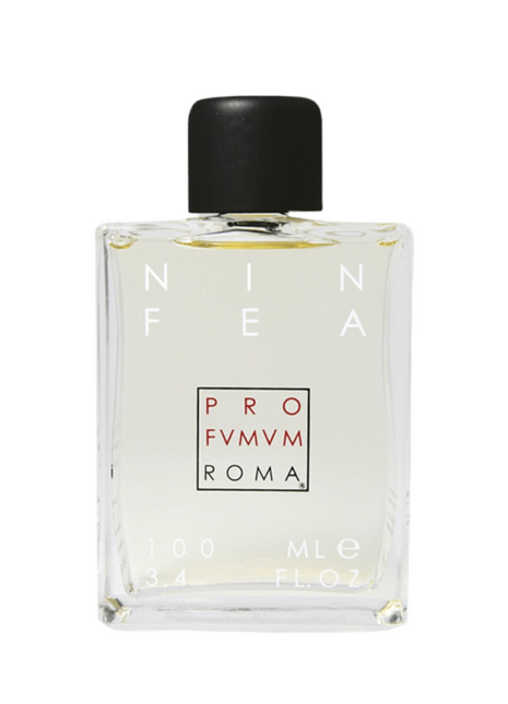 Ninfea