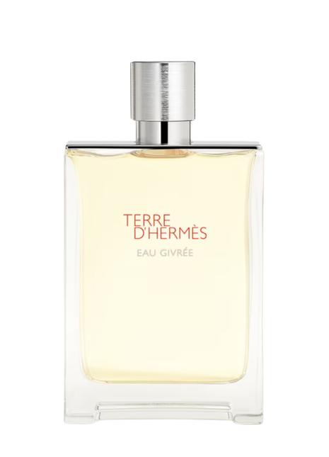 Terre d'Hermès Eau Givrée — niche perfume bottle